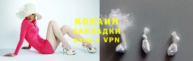 твердый Корсаков