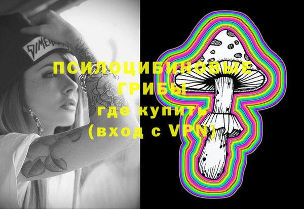 твердый Корсаков