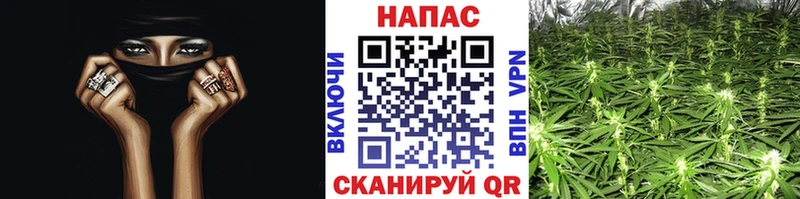 Шишки марихуана конопля  Электроугли 